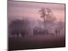 Fall Fog on Suffolk Virginia Farm-Karen Kasmauski-Mounted Photographic Print