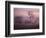 Fall Fog on Suffolk Virginia Farm-Karen Kasmauski-Framed Photographic Print