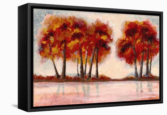 Fall Foliage 2-Doris Charest-Framed Stretched Canvas