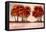 Fall Foliage 2-Doris Charest-Framed Stretched Canvas