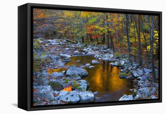 Fall Foliage Along Little River, Smoky Mountains NP, Tennessee, USA-Joanne Wells-Framed Premier Image Canvas