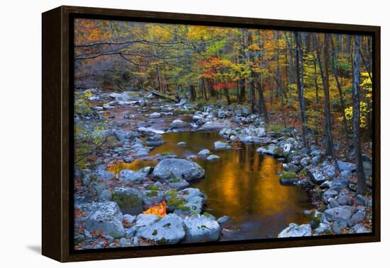 Fall Foliage Along Little River, Smoky Mountains NP, Tennessee, USA-Joanne Wells-Framed Premier Image Canvas