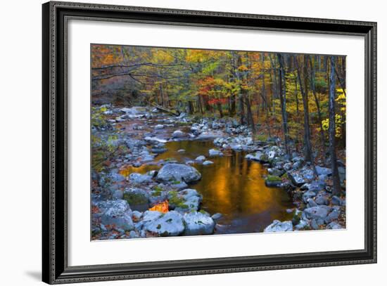 Fall Foliage Along Little River, Smoky Mountains NP, Tennessee, USA-Joanne Wells-Framed Photographic Print