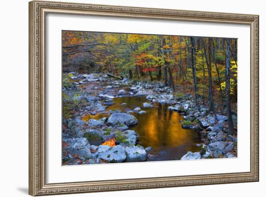 Fall Foliage Along Little River, Smoky Mountains NP, Tennessee, USA-Joanne Wells-Framed Photographic Print