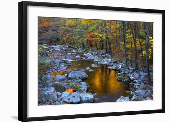 Fall Foliage Along Little River, Smoky Mountains NP, Tennessee, USA-Joanne Wells-Framed Photographic Print