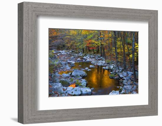 Fall Foliage Along Little River, Smoky Mountains NP, Tennessee, USA-Joanne Wells-Framed Photographic Print