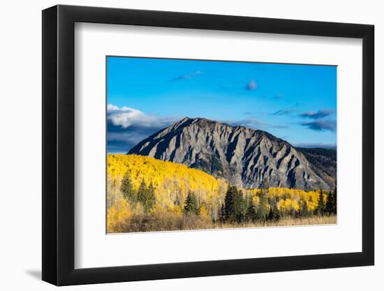 Fall foliage and Aspen trees at their peak, near Crested Butte, Colorado-Howie Garber-Framed Photographic Print