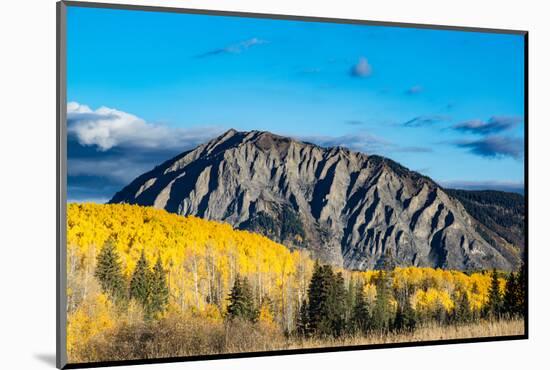 Fall foliage and Aspen trees at their peak, near Crested Butte, Colorado-Howie Garber-Mounted Photographic Print