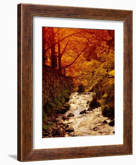 Fall Foliage and Running Stream, Grindsbrook Edale, Peak District, Derbyshire, England, UK-David Hughes-Framed Photographic Print