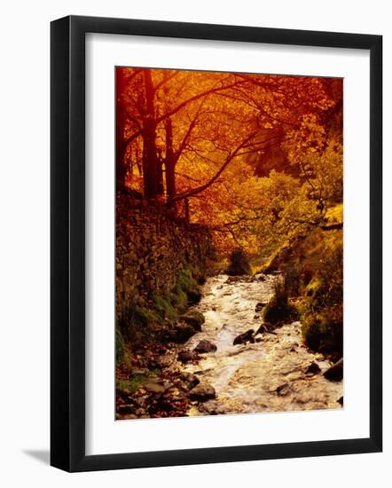 Fall Foliage and Running Stream, Grindsbrook Edale, Peak District, Derbyshire, England, UK-David Hughes-Framed Photographic Print