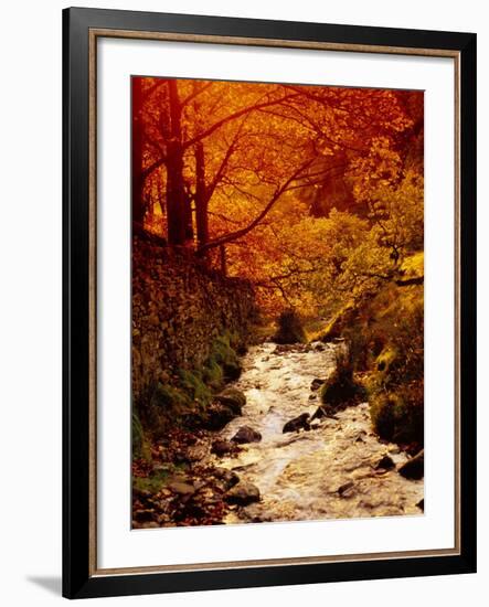 Fall Foliage and Running Stream, Grindsbrook Edale, Peak District, Derbyshire, England, UK-David Hughes-Framed Photographic Print