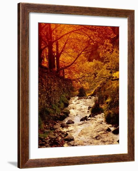 Fall Foliage and Running Stream, Grindsbrook Edale, Peak District, Derbyshire, England, UK-David Hughes-Framed Photographic Print