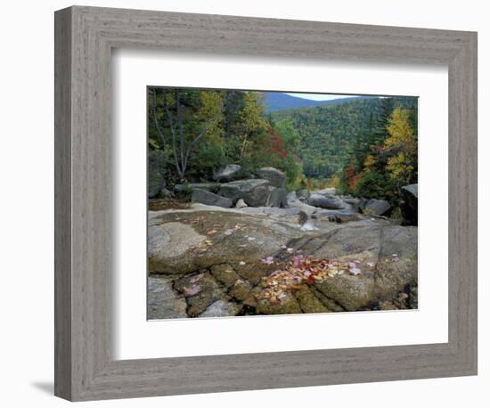 Fall Foliage, Appalachian Trail, White Mountains, New Hampshire, USA-Jerry & Marcy Monkman-Framed Photographic Print