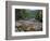 Fall Foliage, Appalachian Trail, White Mountains, New Hampshire, USA-Jerry & Marcy Monkman-Framed Photographic Print