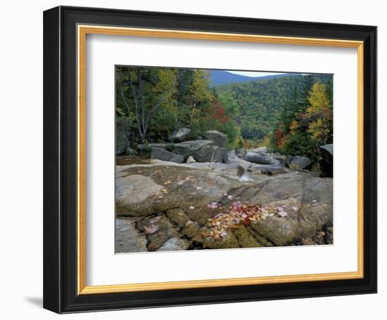 Fall Foliage, Appalachian Trail, White Mountains, New Hampshire, USA-Jerry & Marcy Monkman-Framed Photographic Print