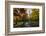 Fall Foliage at Central Park, Manhattan, New York, USA-Stefano Politi Markovina-Framed Photographic Print