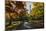 Fall Foliage at Central Park, Manhattan, New York, USA-Stefano Politi Markovina-Mounted Photographic Print