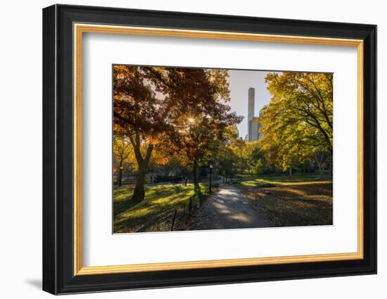 Fall Foliage at Central Park, Manhattan, New York, USA-Stefano Politi Markovina-Framed Photographic Print