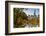 Fall Foliage at Central Park, Manhattan, New York, USA-Stefano Politi Markovina-Framed Photographic Print