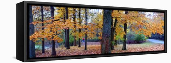 Fall foliage in Eagle Creek Park, Indianapolis, Indiana, USA-Anna Miller-Framed Premier Image Canvas