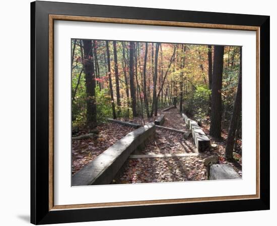 Fall Foliage near Fall Creek Falls State Park, Tennessee, USA-Diane Johnson-Framed Photographic Print