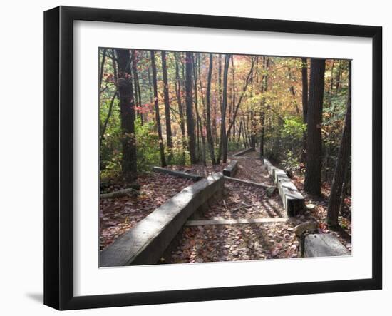 Fall Foliage near Fall Creek Falls State Park, Tennessee, USA-Diane Johnson-Framed Photographic Print