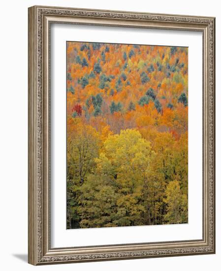 Fall Foliage, New England, USA-Walter Bibikow-Framed Photographic Print