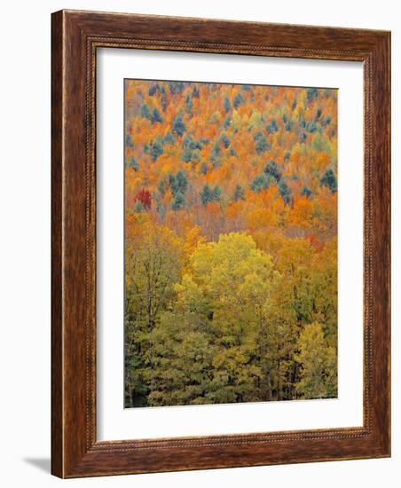 Fall Foliage, New England, USA-Walter Bibikow-Framed Photographic Print