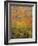 Fall Foliage, New England, USA-Walter Bibikow-Framed Photographic Print