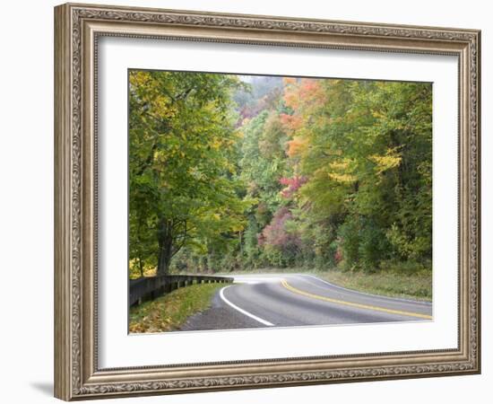 Fall Foliage on Newfound Gap Road, Great Smoky Mountains, Tennessee, USA-Diane Johnson-Framed Photographic Print