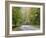 Fall Foliage on Newfound Gap Road, Great Smoky Mountains, Tennessee, USA-Diane Johnson-Framed Photographic Print