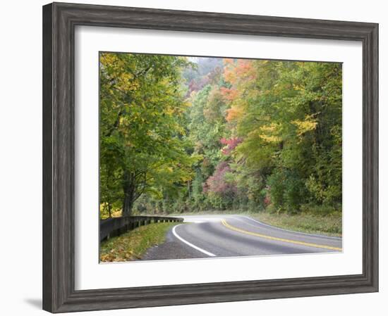 Fall Foliage on Newfound Gap Road, Great Smoky Mountains, Tennessee, USA-Diane Johnson-Framed Photographic Print