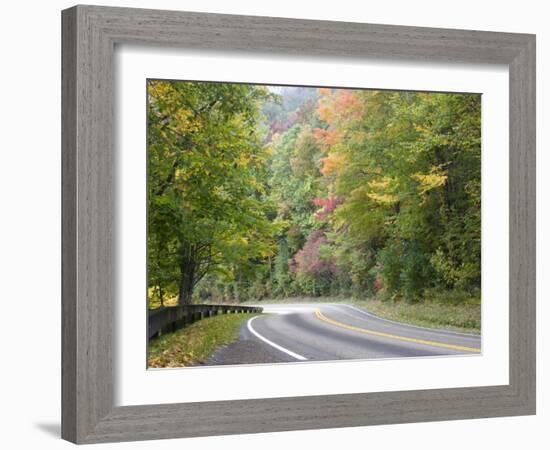 Fall Foliage on Newfound Gap Road, Great Smoky Mountains, Tennessee, USA-Diane Johnson-Framed Photographic Print