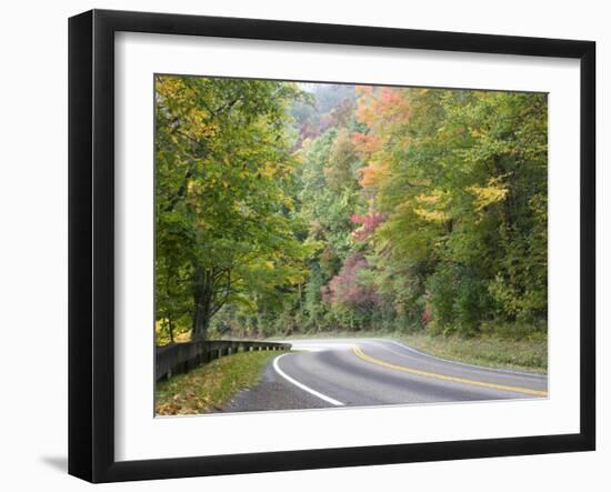 Fall Foliage on Newfound Gap Road, Great Smoky Mountains, Tennessee, USA-Diane Johnson-Framed Photographic Print