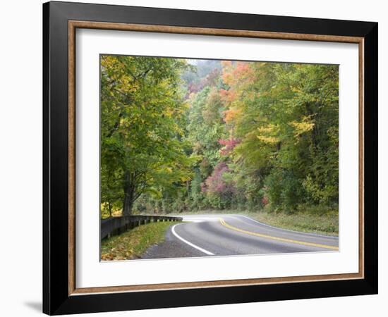 Fall Foliage on Newfound Gap Road, Great Smoky Mountains, Tennessee, USA-Diane Johnson-Framed Photographic Print