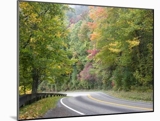 Fall Foliage on Newfound Gap Road, Great Smoky Mountains, Tennessee, USA-Diane Johnson-Mounted Photographic Print