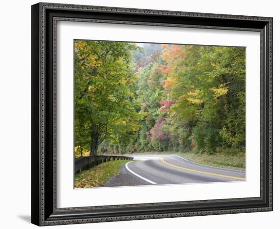 Fall Foliage on Newfound Gap Road, Great Smoky Mountains, Tennessee, USA-Diane Johnson-Framed Photographic Print