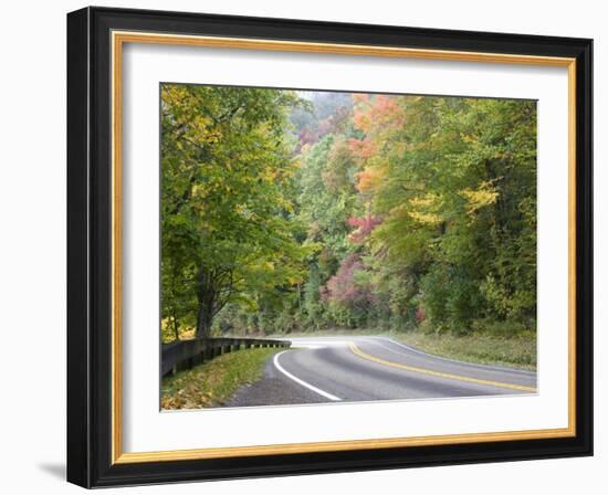 Fall Foliage on Newfound Gap Road, Great Smoky Mountains, Tennessee, USA-Diane Johnson-Framed Photographic Print