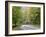 Fall Foliage on Newfound Gap Road, Great Smoky Mountains, Tennessee, USA-Diane Johnson-Framed Photographic Print