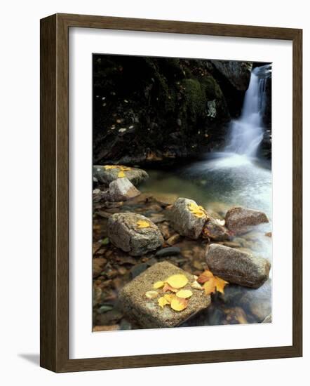 Fall Foliage on the Gorge Trail of Cadillac Mountain, Maine, USA-Jerry & Marcy Monkman-Framed Photographic Print