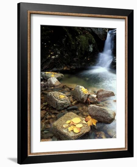 Fall Foliage on the Gorge Trail of Cadillac Mountain, Maine, USA-Jerry & Marcy Monkman-Framed Photographic Print