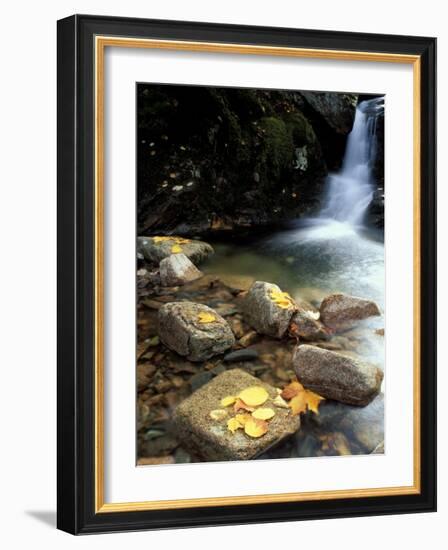 Fall Foliage on the Gorge Trail of Cadillac Mountain, Maine, USA-Jerry & Marcy Monkman-Framed Photographic Print