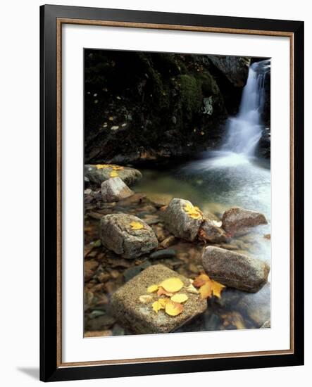 Fall Foliage on the Gorge Trail of Cadillac Mountain, Maine, USA-Jerry & Marcy Monkman-Framed Photographic Print