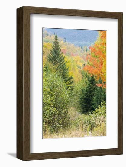 Fall Foliage on the Western Side of Crocker Mountain in Reddington Township, Maine-Jerry and Marcy Monkman-Framed Photographic Print