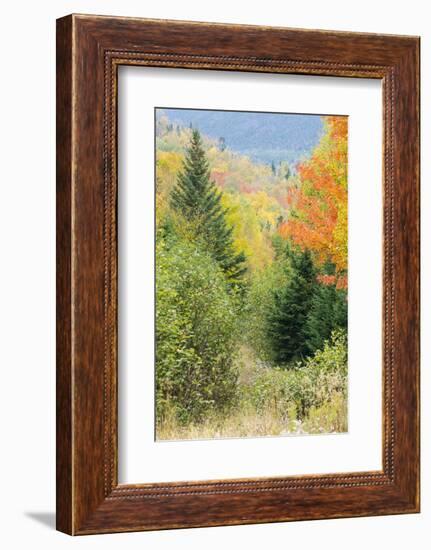 Fall Foliage on the Western Side of Crocker Mountain in Reddington Township, Maine-Jerry and Marcy Monkman-Framed Photographic Print