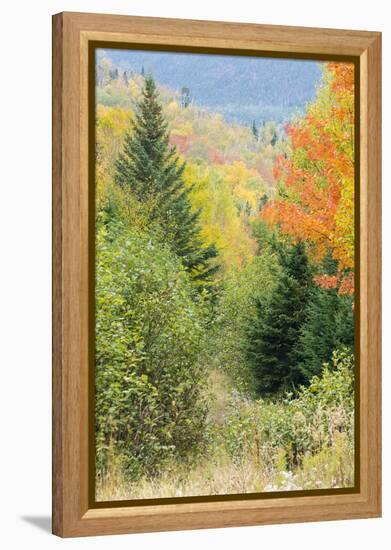 Fall Foliage on the Western Side of Crocker Mountain in Reddington Township, Maine-Jerry and Marcy Monkman-Framed Premier Image Canvas