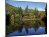 Fall Foliage Reflected in a Lake, Near Jackson, New Hampshire, New England, USA-Fraser Hall-Mounted Photographic Print