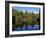 Fall Foliage Reflected in a Lake, Near Jackson, New Hampshire, New England, USA-Fraser Hall-Framed Photographic Print