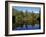 Fall Foliage Reflected in a Lake, Near Jackson, New Hampshire, New England, USA-Fraser Hall-Framed Photographic Print