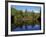 Fall Foliage Reflected in a Lake, Near Jackson, New Hampshire, New England, USA-Fraser Hall-Framed Photographic Print